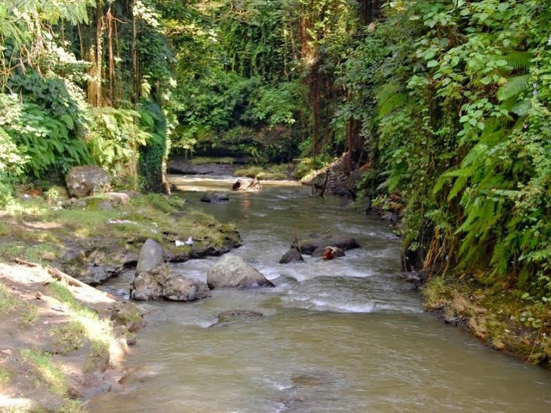 Bucu Beji Ubud Екстер'єр фото