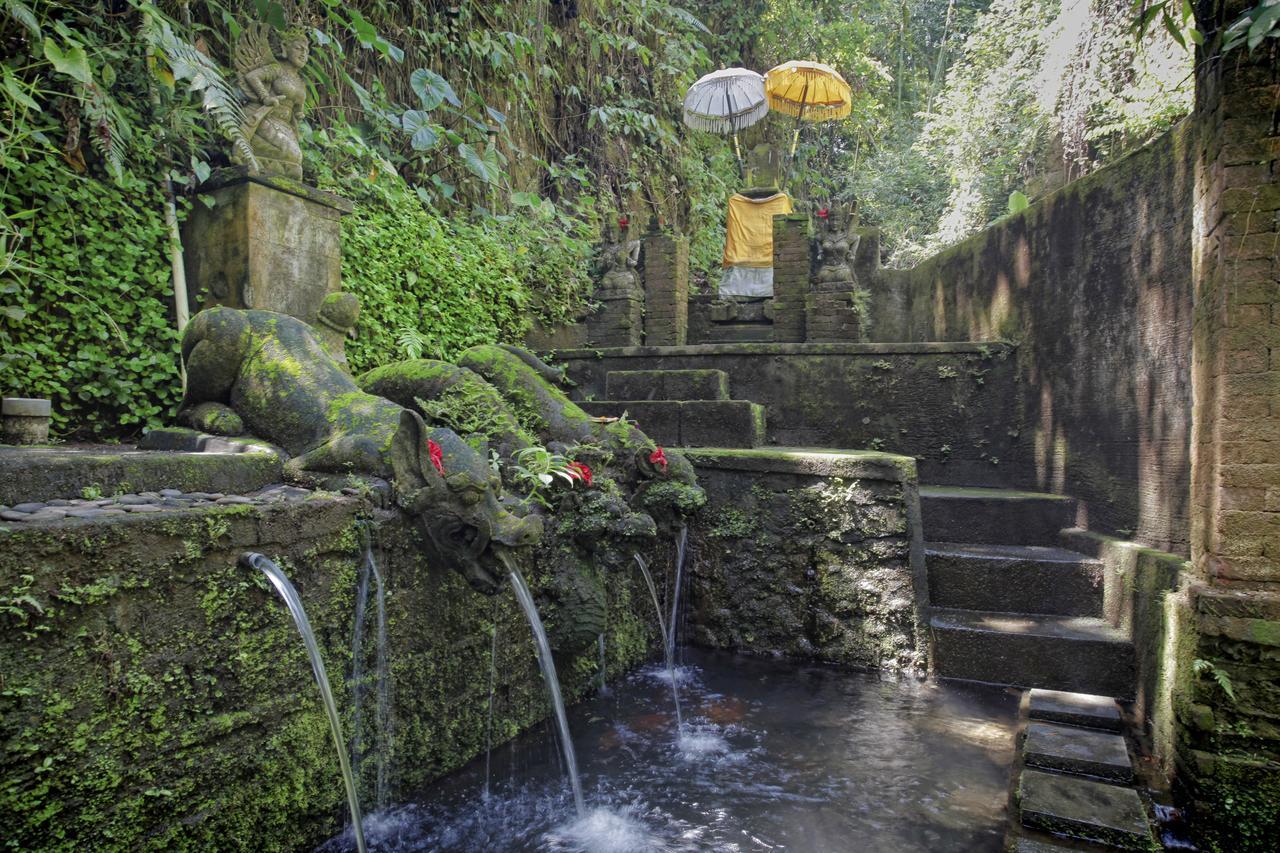 Bucu Beji Ubud Екстер'єр фото