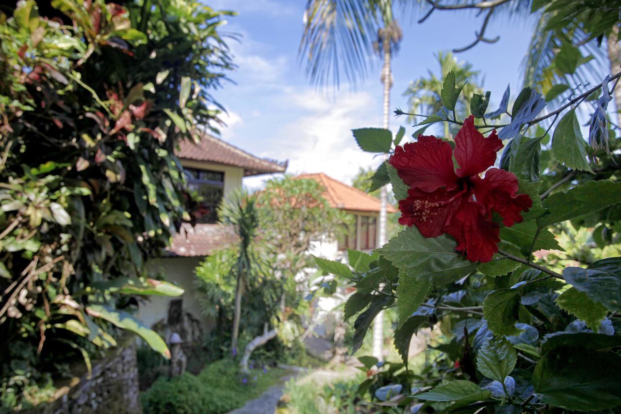 Bucu Beji Ubud Екстер'єр фото
